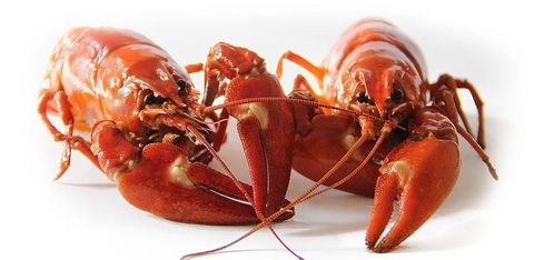 吮指誘惑,麻辣小龍蝦復(fù)合調(diào)味料在烘焙中應(yīng)用